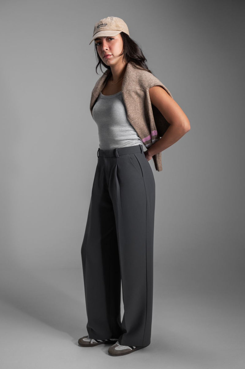 Gabri's Loose-Darted Pants